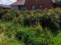 Продажа дома: с. Мариинск, ул. Спартака, 31 (городской округ Ревда) - Фото 1