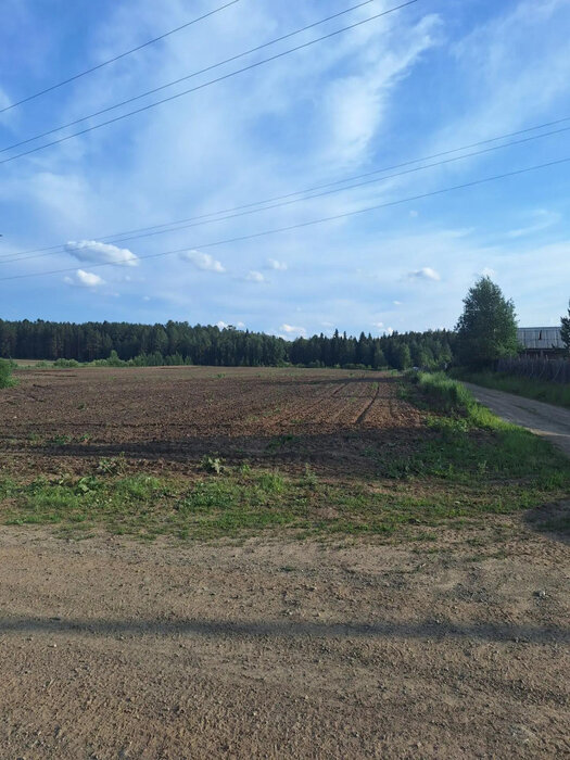 п. Соколовка, СНТ Сокол (городской округ Верхняя Пышма) - фото сада (4)