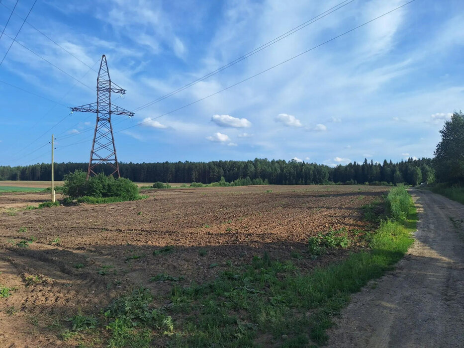 п. Соколовка, СНТ Сокол (городской округ Верхняя Пышма) - фото сада (5)