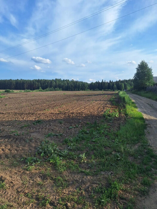 п. Соколовка, СНТ Сокол (городской округ Верхняя Пышма) - фото сада (6)