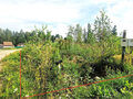 Продажа земельного участка: Усадьбы Евразия (Чкаловский район) - Фото 2