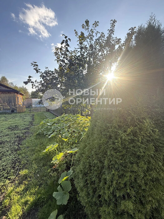Екатеринбург, коллективный сад № 28 Садовод - фото сада (13)