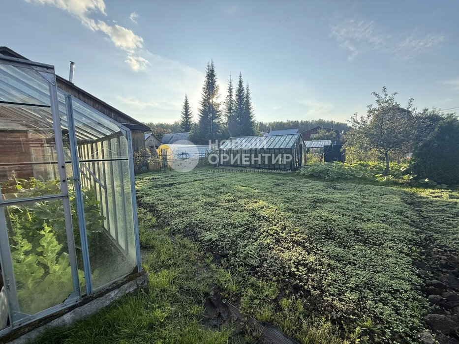 Екатеринбург, коллективный сад № 28 Садовод - фото сада (2)