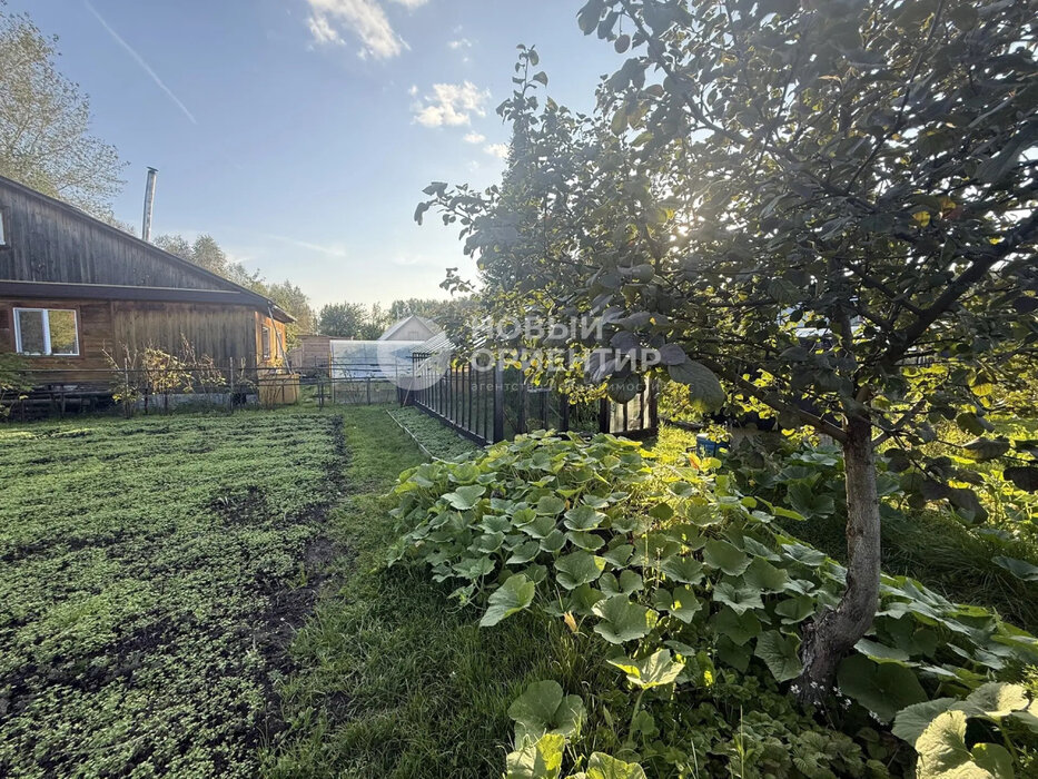 Екатеринбург, коллективный сад № 28 Садовод - фото сада (8)