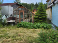 Продажа садового участка: г. Верхняя Пышма, СНТ 