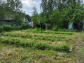 Продажа садового участка: г. Верхняя Пышма, СНТ 