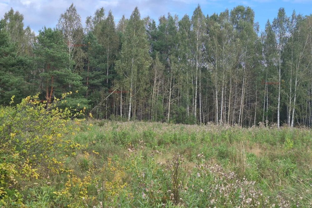 станция Хрустальная, городской округ Первоуральск, Пермское направление, 28км., ул.Юрия Долгорукого, 26 (Выберите район) - фото земельного участка (6)