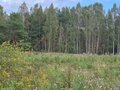 Продажа земельного участка: станция Хрустальная, городской округ Первоуральск, Пермское направление, 28км., ул.Юрия Долгорукого, 26 (Выберите район) - Фото 6
