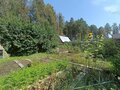 Продажа садового участка: Екатеринбург, к/с Кварц, уч. 26 - Фото 3