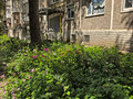 Аренда комнаты: Екатеринбург, ул. Уральская, 60 (Пионерский) - Фото 2