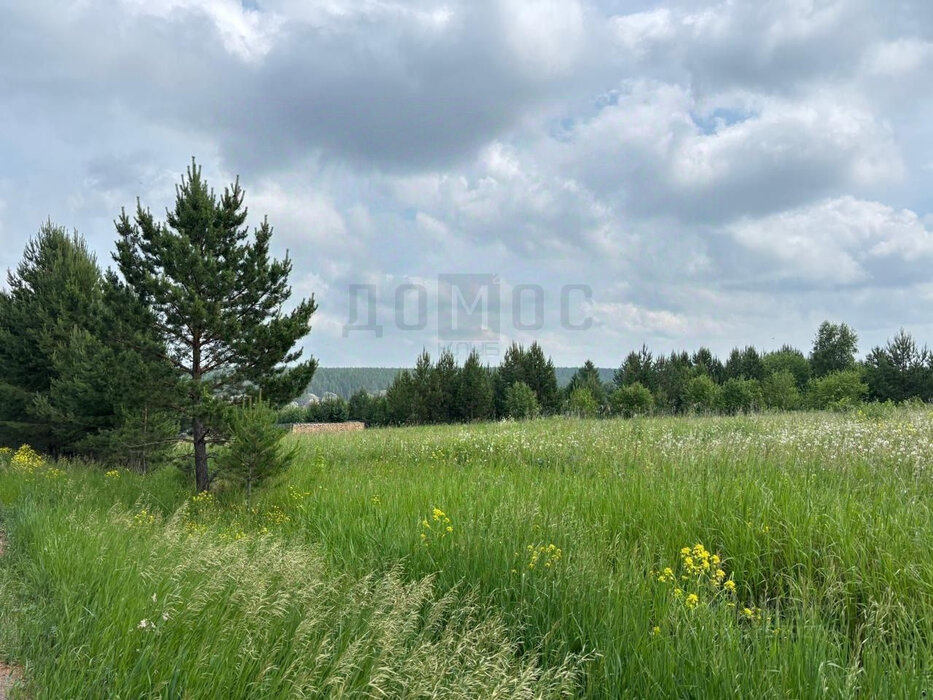 г. Реж, ул. Виноградная, 51 (городской округ Режевской) - фото земельного участка (2)