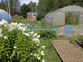 Продажа садового участка: г. Ревда, Заречный - 2 (городской округ Ревда) - Фото 10