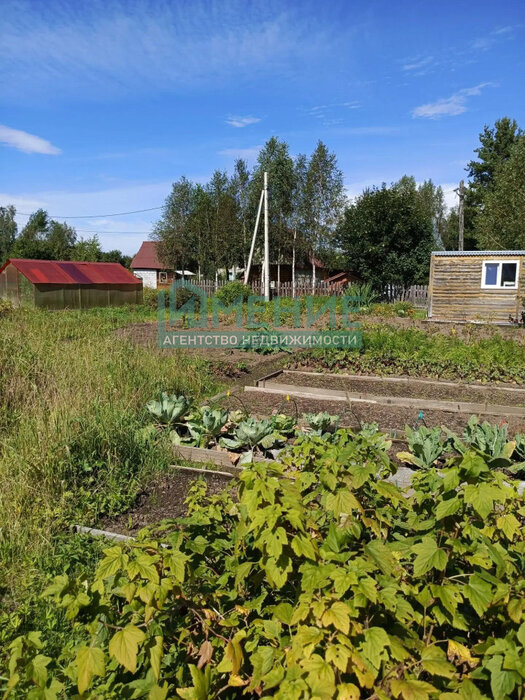 г. Ревда, Заречный - 2 (городской округ Ревда) - фото сада (11)