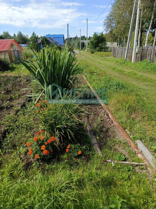 г. Ревда, Заречный - 2 (городской округ Ревда) - фото сада (15)