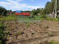 Продажа садового участка: г. Ревда, Заречный - 2 (городской округ Ревда) - Фото 8