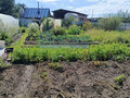 Продажа садового участка: г. Ревда, Заречный - 2 (городской округ Ревда) - Фото 9