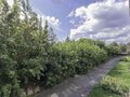 Продажа квартиры: Екатеринбург, ул. Червонная, 19/2 (Старая Сортировка) - Фото 8