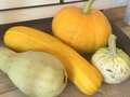 Продажа садового участка: Екатеринбург, с/т Шахтер, уч. 35 - Фото 9