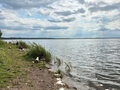 Продажа дома: Екатеринбург, ул. Калинина, 3 - Фото 11