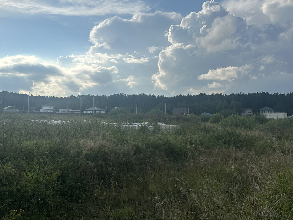 д. Гусева, ул. Лисьи горки, 3 (городской округ Белоярский) - фото земельного участка (5)