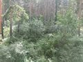 Продажа квартиры: Екатеринбург, ул. Волчанский, 10 (Лечебный) - Фото 8