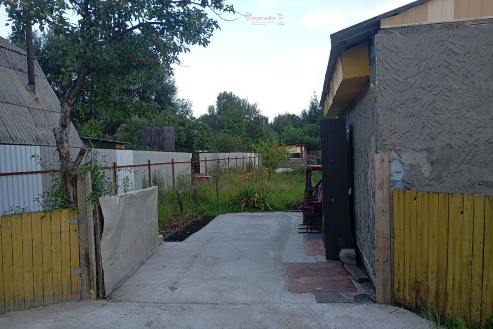 Екатеринбург, СНТ Дружба-10, уч. 722 - фото сада (2)