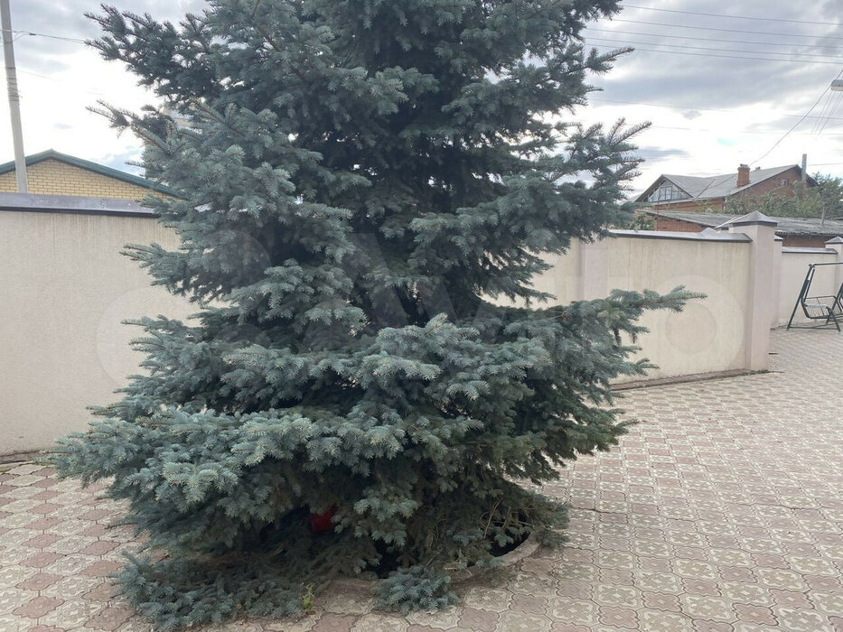 г. Верхняя Пышма, ул. Сосновая, 16 (городской округ Верхняя Пышма) - фото коттеджа (12)