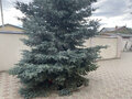 Продажа коттеджей: г. Верхняя Пышма, ул. Сосновая, 16 (городской округ Верхняя Пышма) - Фото 12