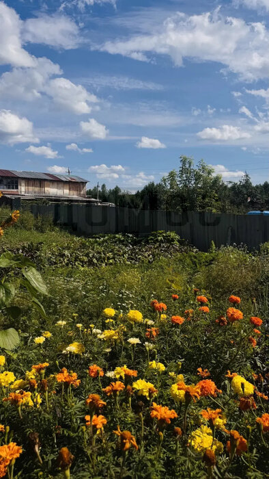 г. Арамиль, ул. Свободы, 13б (городской округ Арамильский) - фото дома (12)