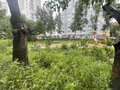 Аренда квартиры: Екатеринбург, ул. Токарей, 27 (ВИЗ) - Фото 7