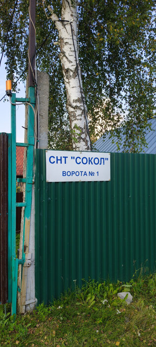 п. Растущий, к/с Сокол, уч. 24 (городской округ Белоярский) - фото сада (1)