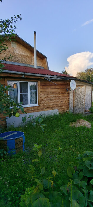 п. Растущий, к/с Сокол, уч. 24 (городской округ Белоярский) - фото сада (4)