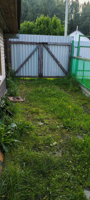 п. Растущий, к/с Сокол, уч. 24 (городской округ Белоярский) - фото сада (5)