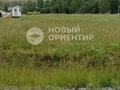Продажа земельного участка: с. Тарасково, ул. Ленина, 15 (городской округ Новоуральский) - Фото 2