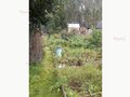 Продажа садового участка: Екатеринбург, СНТ Шинник-2, уч. 14 (Елизавет) - Фото 13