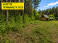 Продажа садового участка: г. Реж, К/с Колосок (городской округ Режевской) - Фото 4