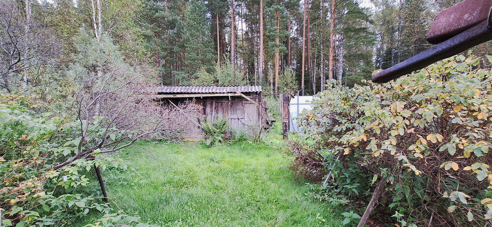 г. Нижний Тагил, СТСН Железнодорожник ЛЭП, уч. 2 (городской округ Нижний Тагил) - фото сада (5)