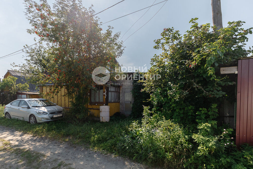 Екатеринбург, коллективный сад №1 