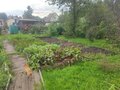 Продажа садового участка: г. Полевской, СНТ Коллективный сад №5, уч. 59 (городской округ Полевской) - Фото 3