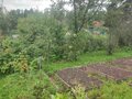 Продажа садового участка: г. Полевской, СНТ Коллективный сад №5, уч. 59 (городской округ Полевской) - Фото 5