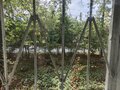 Продажа квартиры: Екатеринбург, ул. Ленинградская, 25 (Юго-Западный) - Фото 9