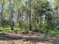 Продажа земельного участка: Екатеринбург, ул. 50 Пикет (Шабровский) - Фото 5