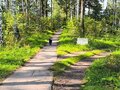 Продажа земельного участка: Екатеринбург, ул. 50 Пикет (Шабровский) - Фото 6