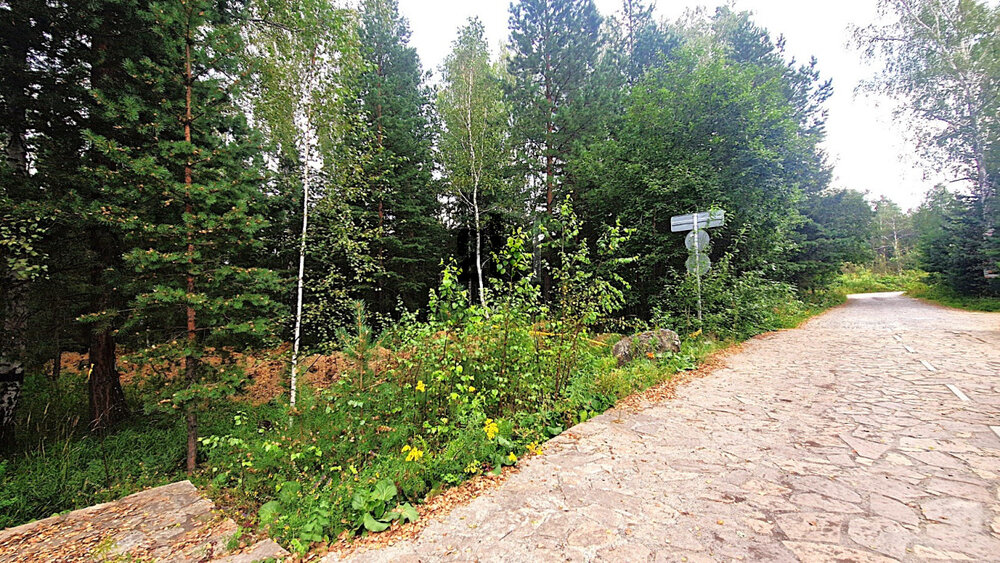 к.п. Усадьбы Жаворонки, уч.   (городской округ Березовский) - фото земельного участка (3)