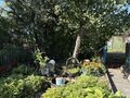 Продажа садового участка: Екатеринбург, ул.,  (Выберите район) - Фото 7