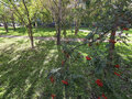 Продажа квартиры: Екатеринбург, ул. Амундсена, 54/1 (Юго-Западный) - Фото 4
