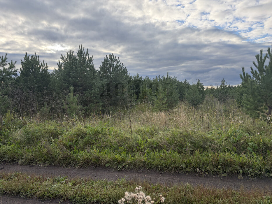 с. Логиново (городской округ Белоярский) - фото земельного участка (2)