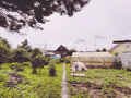Продажа дома: д. Гилева, ул. Калинина, 10а (городской округ Белоярский) - Фото 6