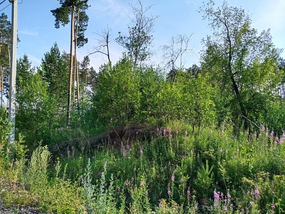 Екатеринбург, ул. Романтиков (Кольцово) - фото земельного участка (2)