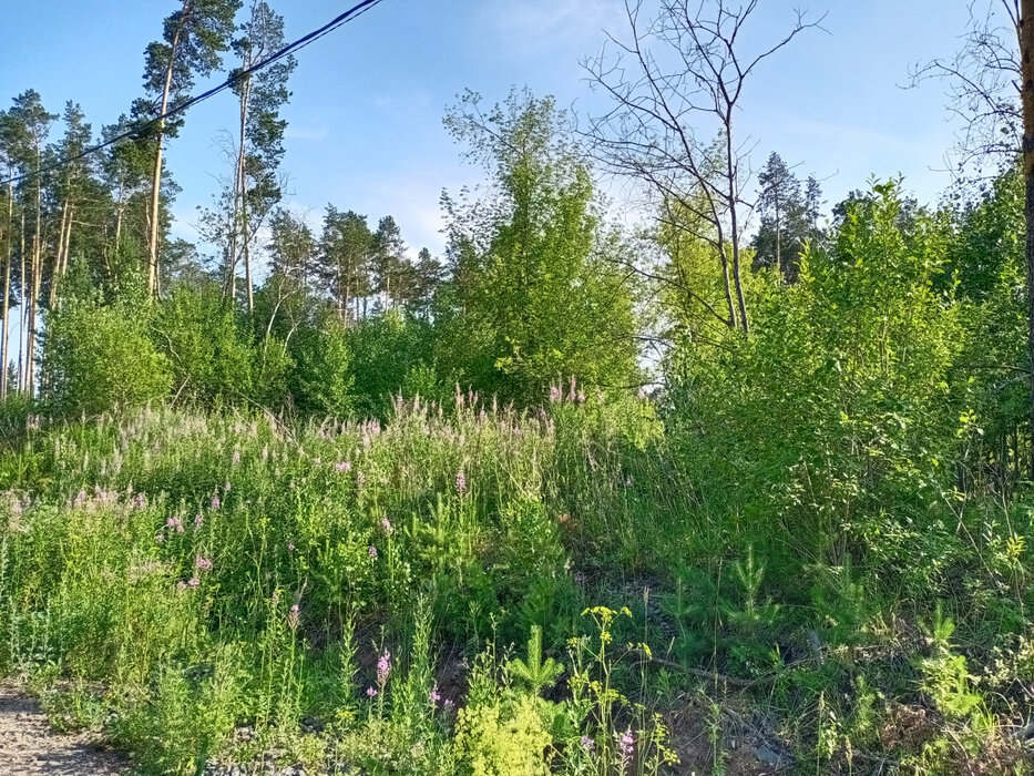 Екатеринбург, ул. Романтиков (Кольцово) - фото земельного участка (4)